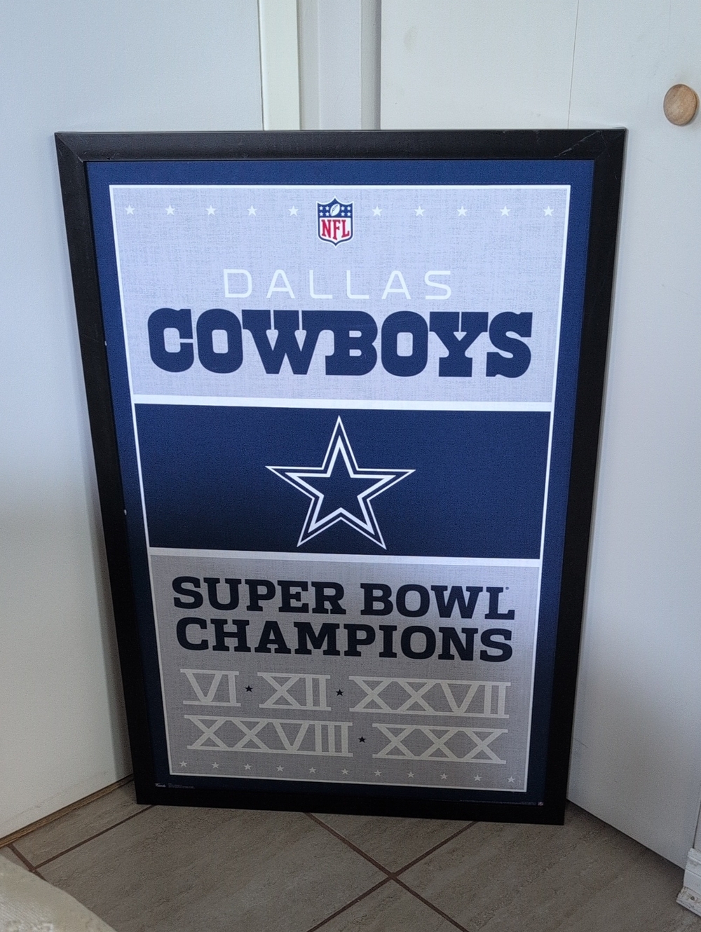 Dallas Cowboys Framed Championship Poster